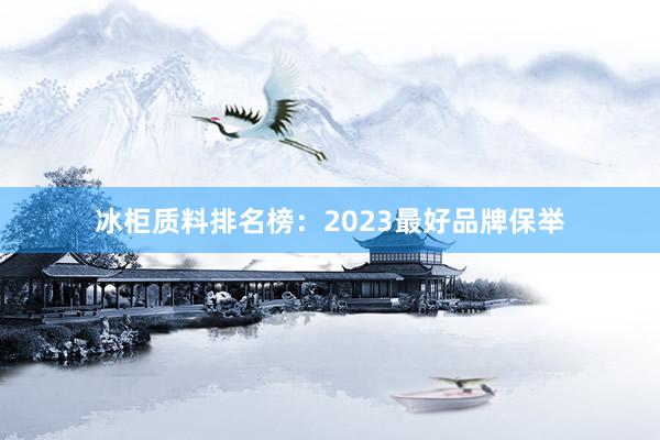 冰柜质料排名榜：2023最好品牌保举